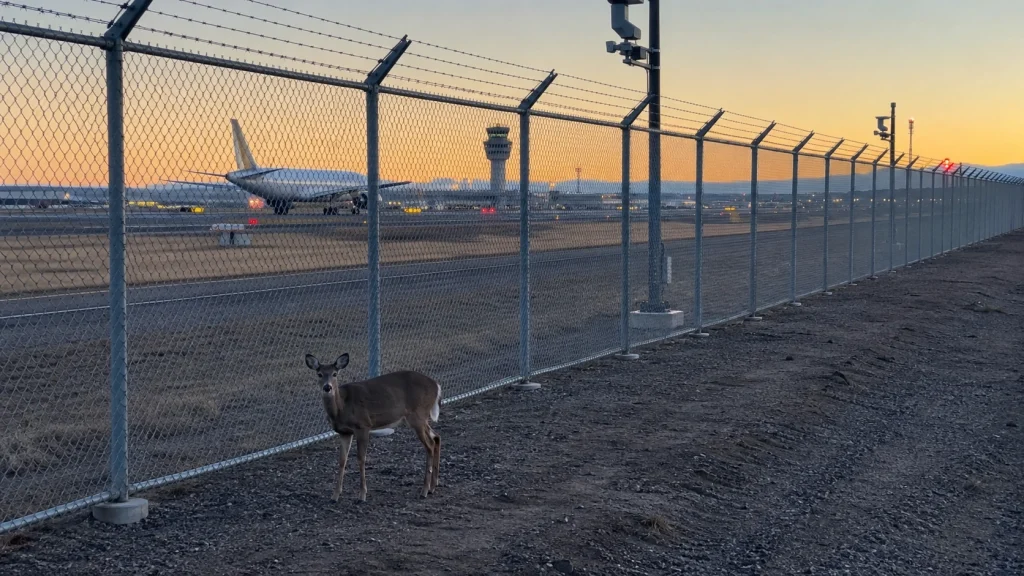 Airport Perimeter Fencing: Security Clearance, Wildlife Exclusion, and Site Safety Requirements 2 Airport Perimeter Fencing